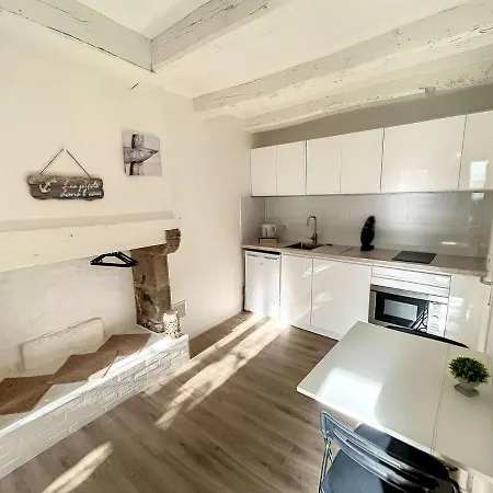 Studio Renove Avec Terrasse Privative, A 100m De La Plage Et En Plein Coeur De - Fr-1-361-526 Lägenhet