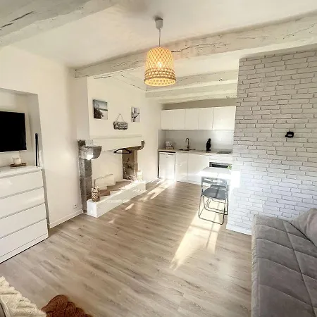 Studio Renove Avec Terrasse Privative, A 100m De La Plage Et En Plein Coeur De - Fr-1-361-526 *