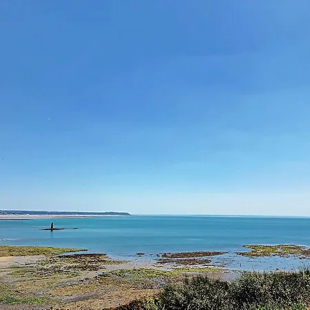 Lägenhet Studio Renove Avec Terrasse Privative, A 100m De La Plage Et En Plein Coeur De - Fr-1-361-526